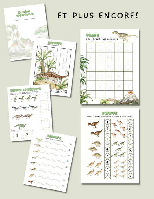 Cahier d'activités - Dinosaures (numérique)